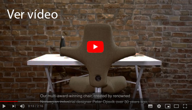 home office HÅG Capisco